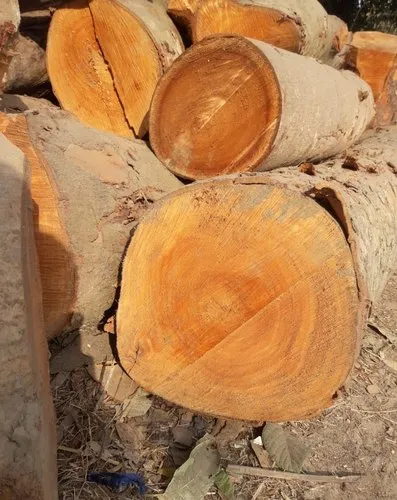 MAHOGANY